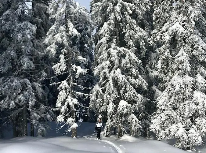 Lejlighed Gartenapartment Malea *